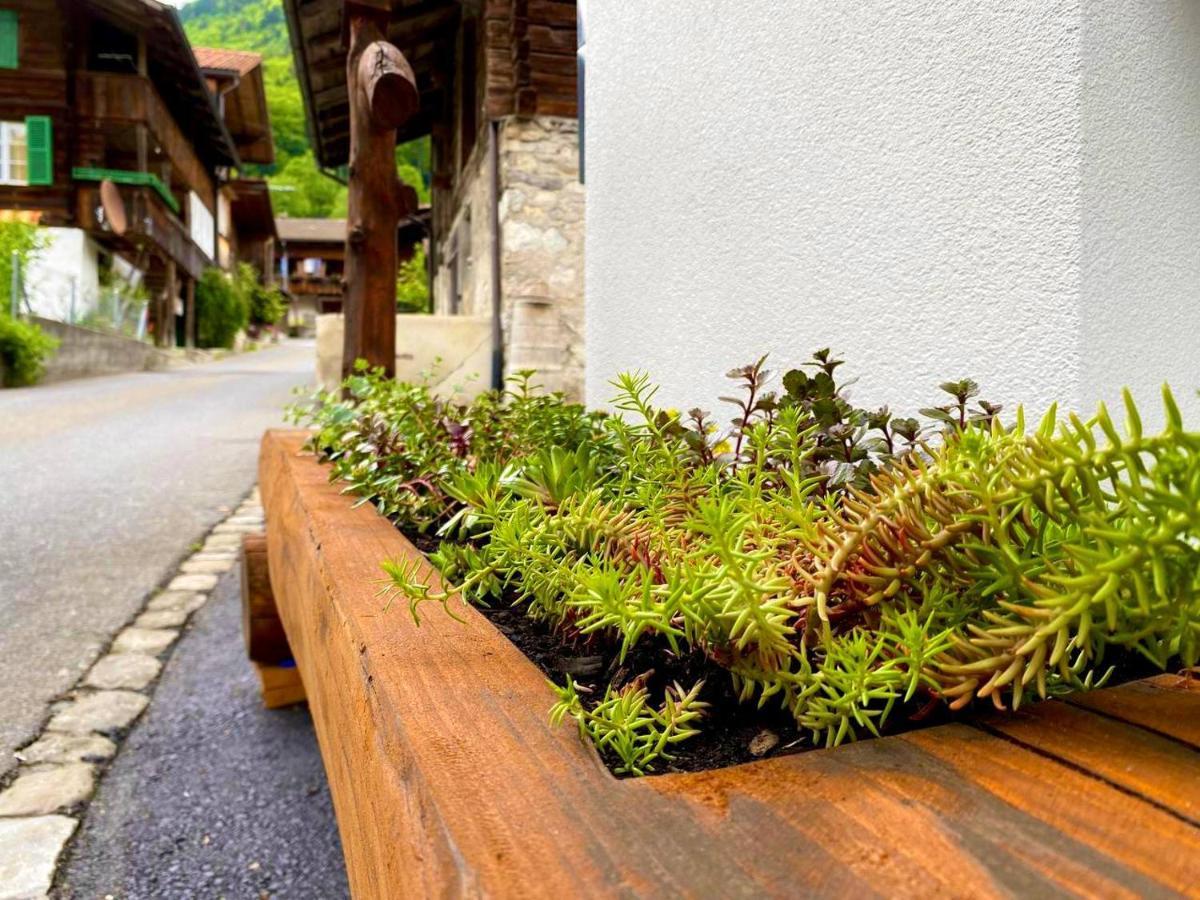 Beim Brunnen Apartment Gsteigwiler Luaran gambar